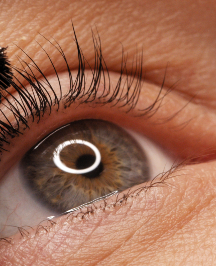 lash brow service colorado1